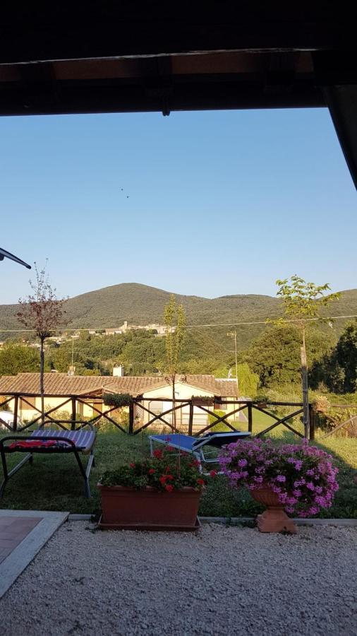 B&B La Casetta Di Lilly Amelia Buitenkant foto