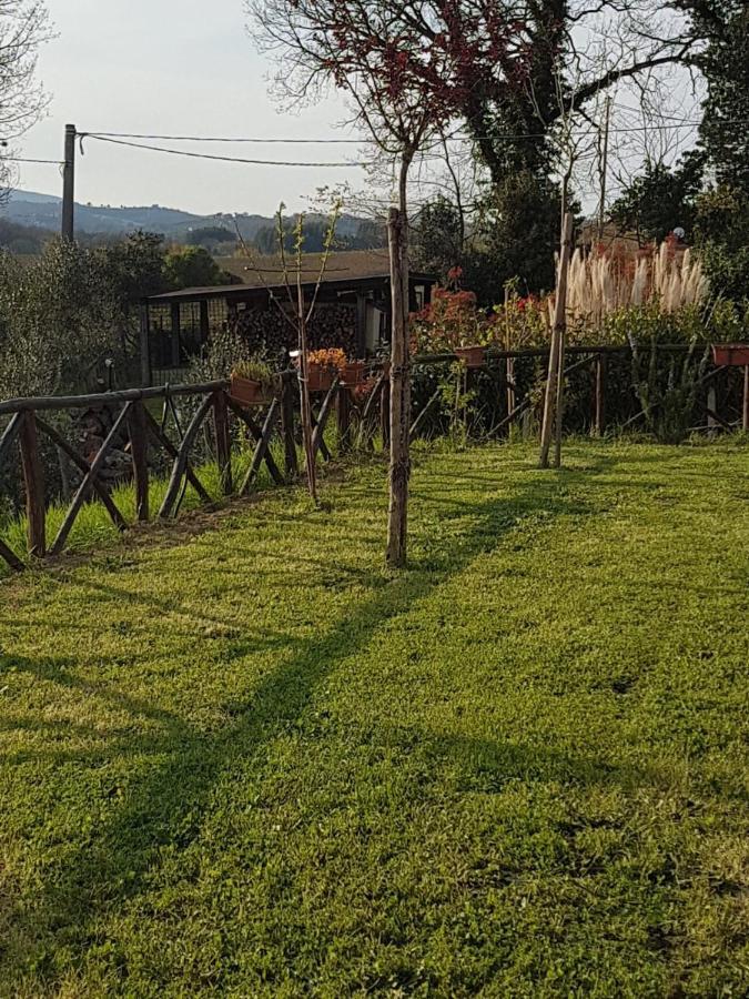 B&B La Casetta Di Lilly Amelia Buitenkant foto
